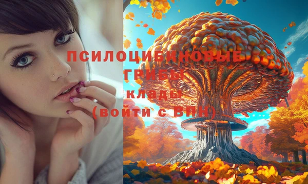 кокаин VHQ Балахна