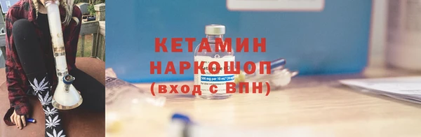 крисы Богородицк