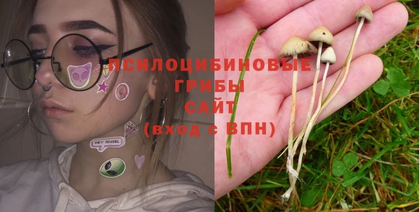 spice Балабаново