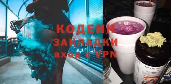 твердый Бородино