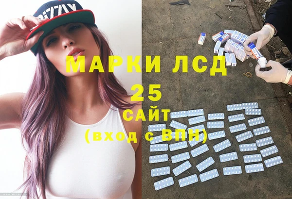 крисы Богородицк